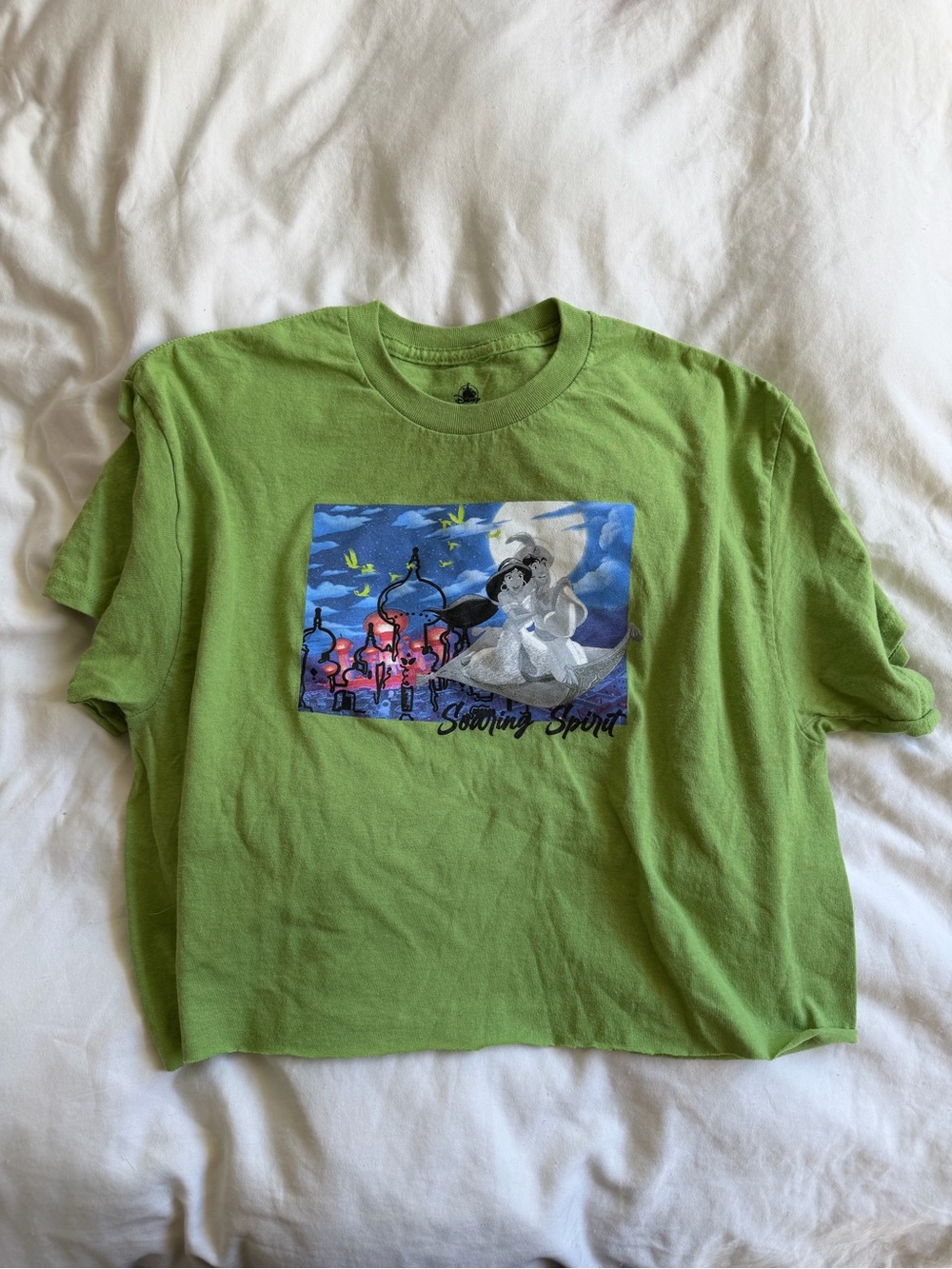 Aladdin Graphic Tee - Soaring Spirit